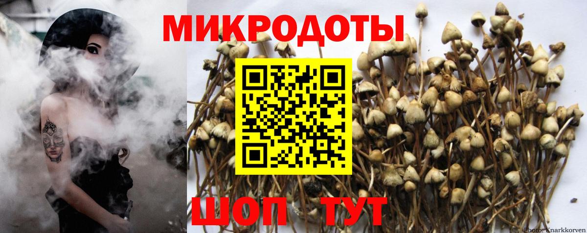 Ярцево  Псилоцибиновые грибы Cubensis  Вход с VPN  Галлюциногенные грибы Psilocybine cubensis 